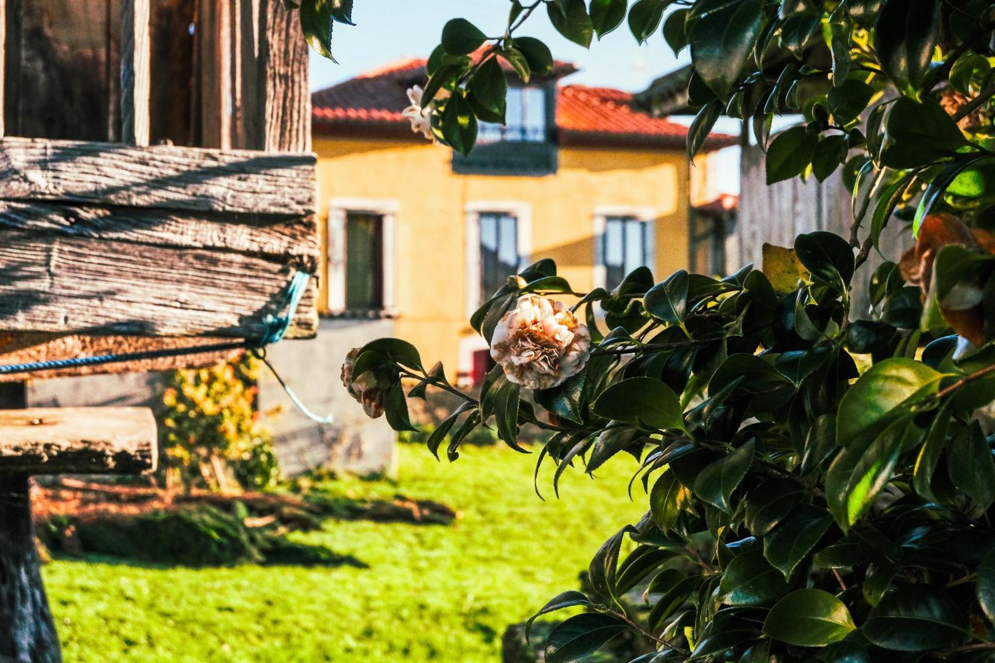 La Casona De Faedo (Cudillero, Asturias)