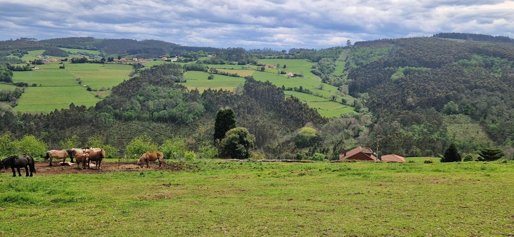 Pensión La Casona De Faedo (Cudillero, Asturias)